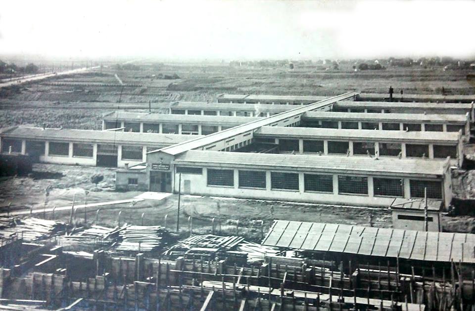 Tvornica 'Prvomajska' 1954. godine